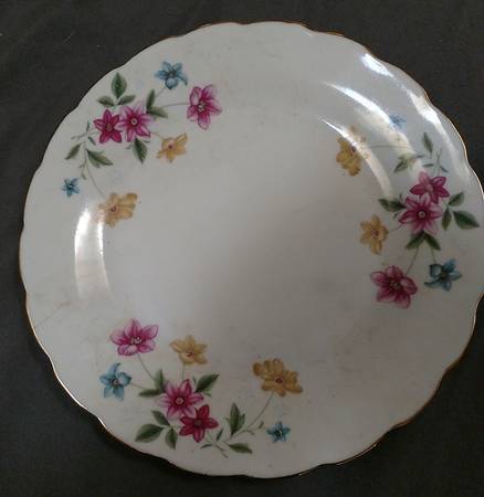 UP120 Dinner Plate