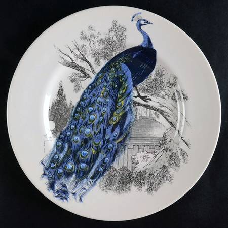 Peacock Garden by Carly Dodsley