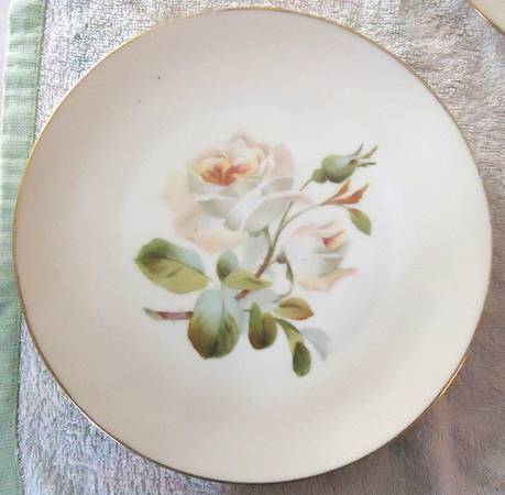 CLK9 Salad Plate
