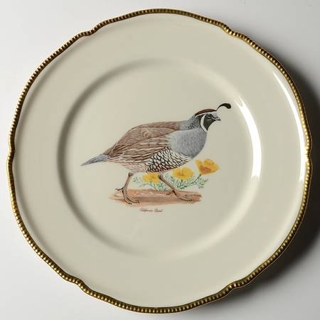 C91 Dinner Plate