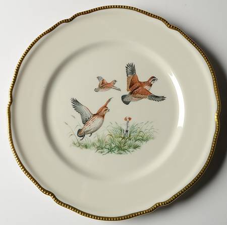 C91 Dinner Plate