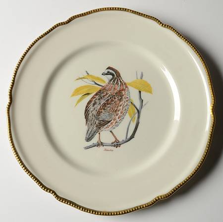 C91 Dinner Plate