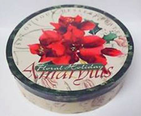 Amaryllis Salad/Dessert Plate