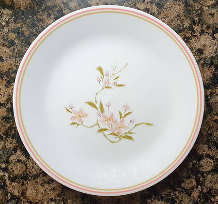 COR233 by Corning Corelle