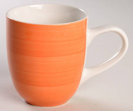 C8G17 (Salmon) Mug