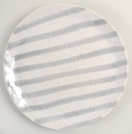 Spot On Dinner Plate