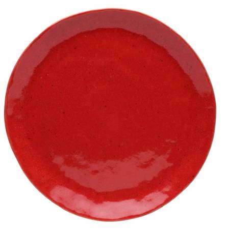 Spot On Dinner Plate