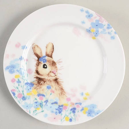 C9A20 Appetizer Plate