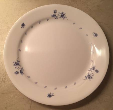 COR242 by Corning Corelle