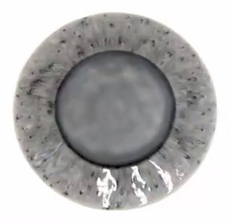Madeira-Grey Salad Plate