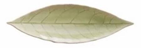 Riviera Vert Frais (Green & Black) 7" Leaf Dish