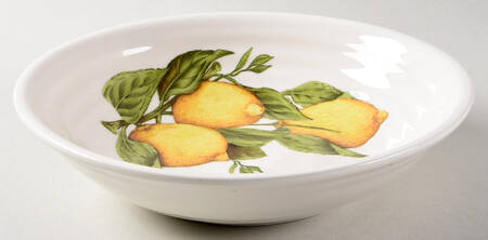 CU49 8" Soup/Pasta Bowl