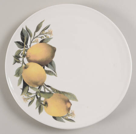 CU49 Dinner Plate