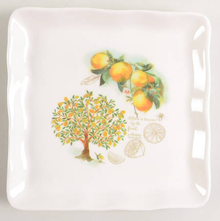 CU412 Square Appetizer Plate