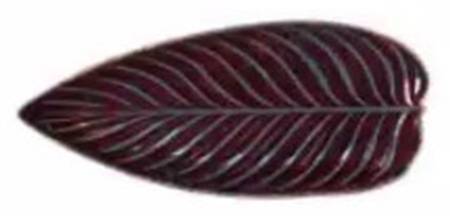Riviera Vigne (Red-Orange) 15" Leaf Dish