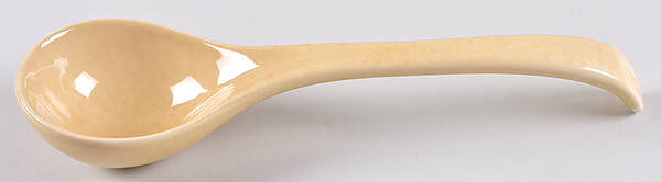 Barbwire Collection Tureen Ladle
