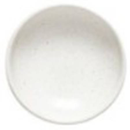 Pacifica Salt Small Ramekin