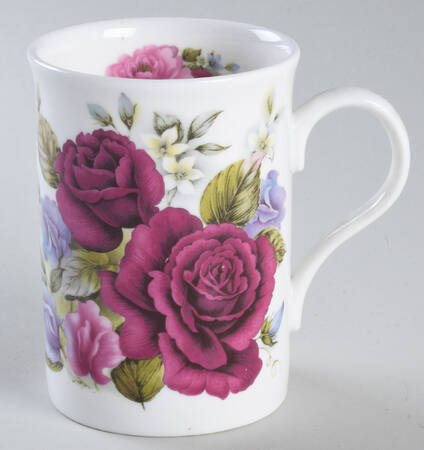 Various Mugs Only Mug
