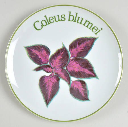 Garden Club Salad Plate