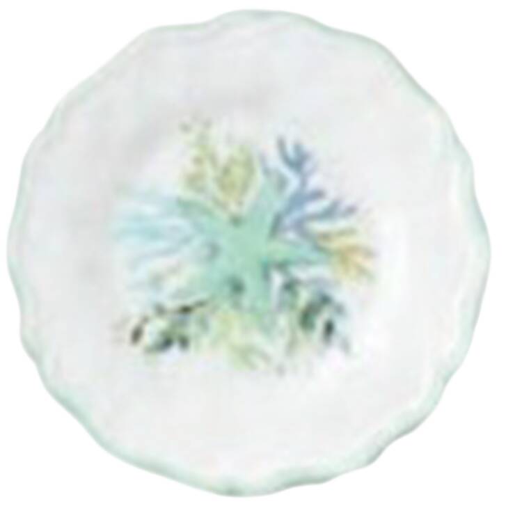 Sea Glass Canape Plate