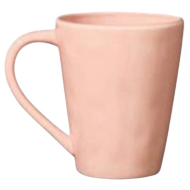 Desert Rose Mug