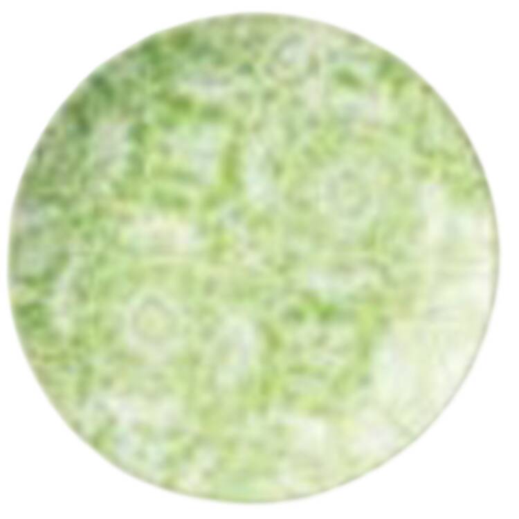 Pavilion Salad Plate