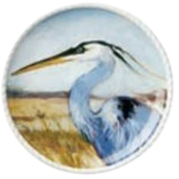 Coastal Birds Salad Plate