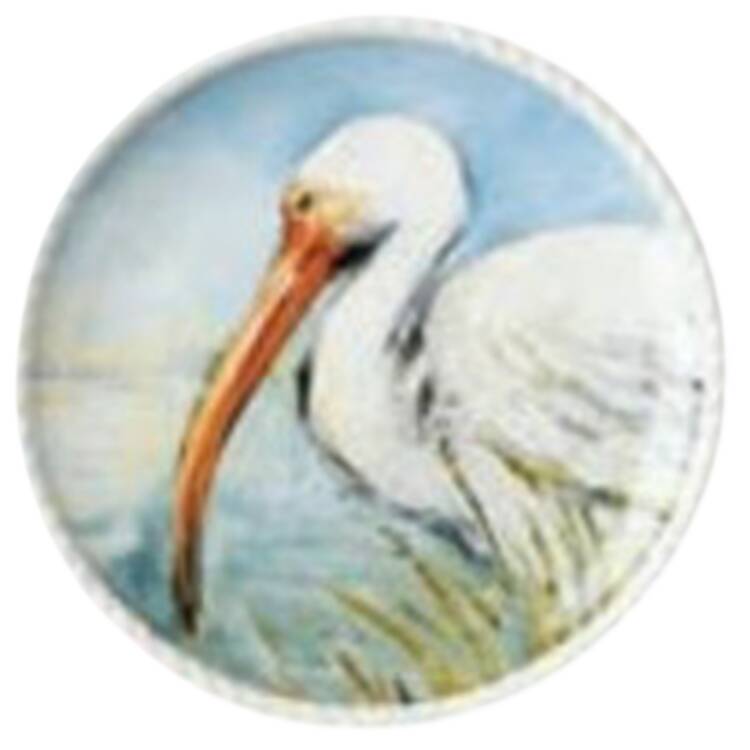 Coastal Birds Salad Plate