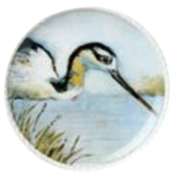 Coastal Birds Salad Plate