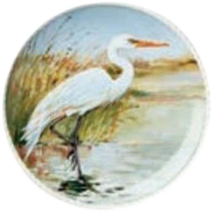 Coastal Birds Dinner Plate