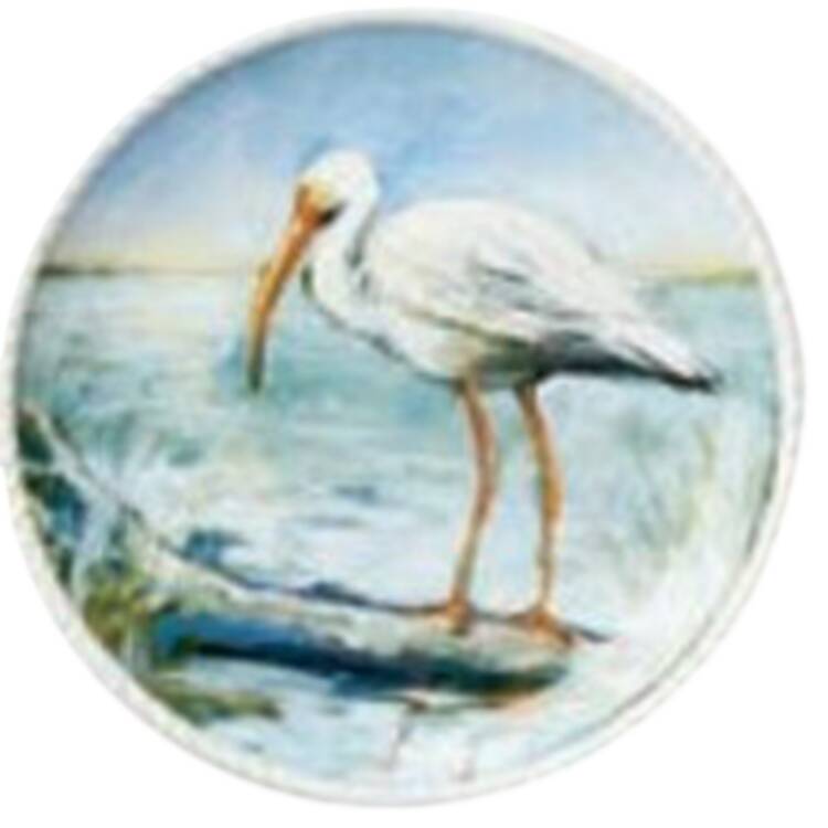 Coastal Birds Dinner Plate