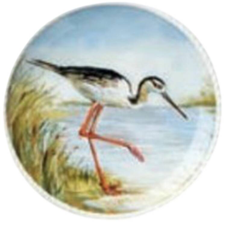 Coastal Birds Canape Plate