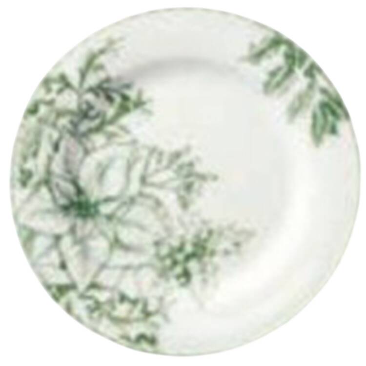Winter's Evergreen Salad Plate