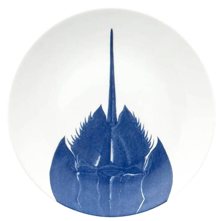 Horseshoe Crab Blue by Caskata