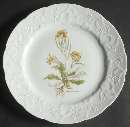 Ivy Accent Luncheon Plate