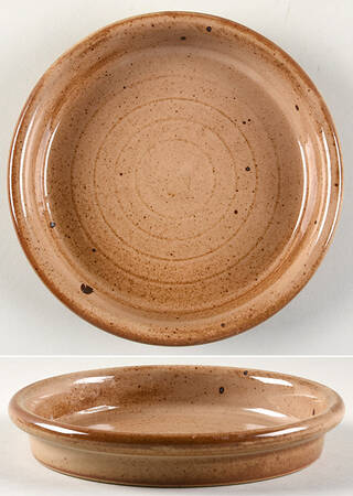 Nielstone Spice Tan Deep Salad Plate