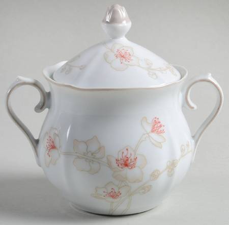 Curiosity Sugar Bowl & Lid