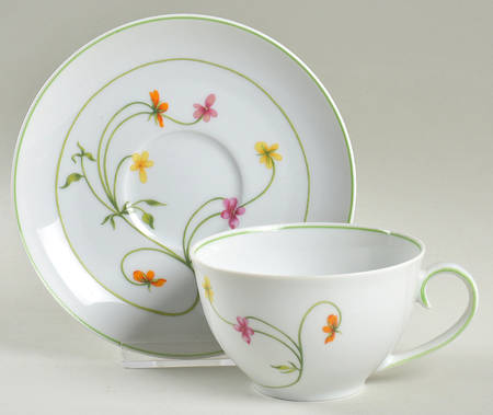 Duchess Flat Cup & Saucer Set by Denby-Langley