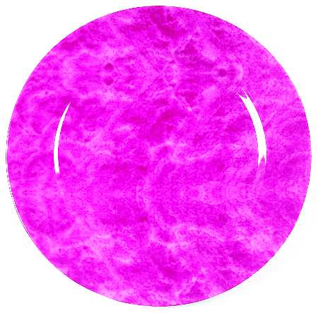 Cordoba Fuschia Service Plate (Charger)