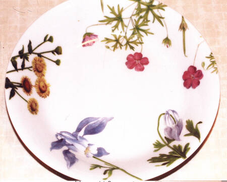 Fleurs Sauvage Coupe Soup Bowl