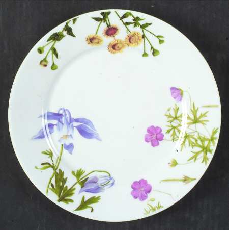 Fleurs Sauvage Salad Plate