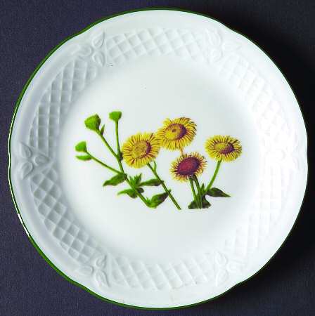 Fleurs Sauvage Canape Plate