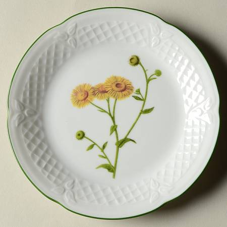 Fleurs Sauvage Canape Plate