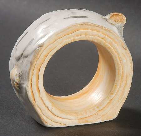 Birch Bark Napkin Ring