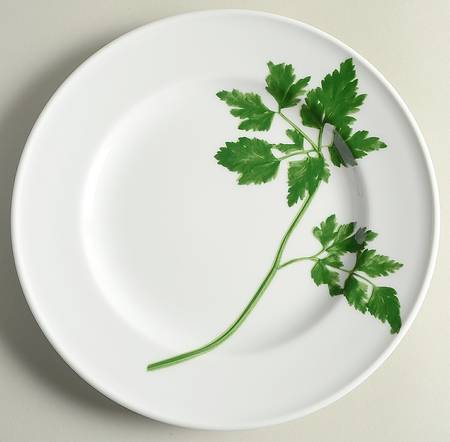 Herbaticum Dinner Plate
