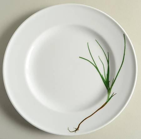 Herbaticum Dinner Plate