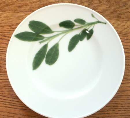 Herbaticum Salad Plate
