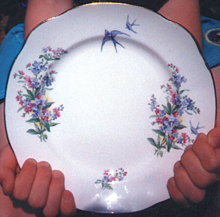 Forget Me Not Square Dinner Plate