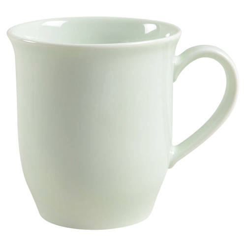 Tjorn Celadon Mug