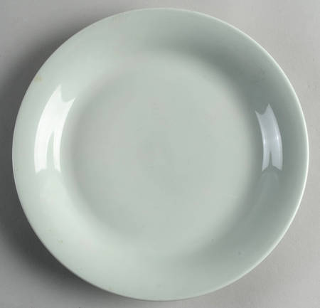 Tjorn Celadon Salad Plate